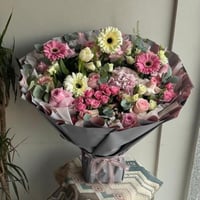 ايليجنت ستريت