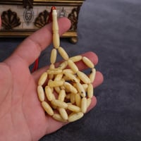 كهرمان كلينغيرادي صنوبري