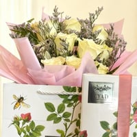 بكج نيويورك