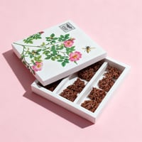 بكج نيويورك