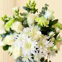 فازة إيفيان