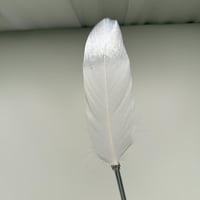 قلم ريش ابيض وفضي