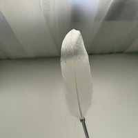 قلم ريش ابيض وفضي