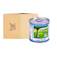 كرتون حليب مركز من وادي فاطمة 170 جرام 96 حبة