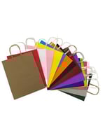 اكياس ورقية وسط /12 كيس