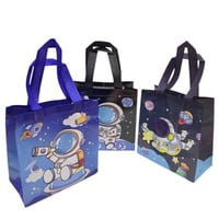 كيس قماش غير منسوجة /1قطعة