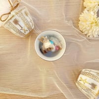 توزيعات فنجان