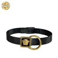 اسواره فرزاتشي