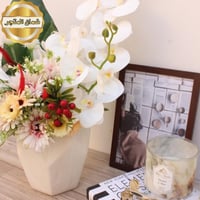 فازة الربيع الإستوائي | Spring Tropical