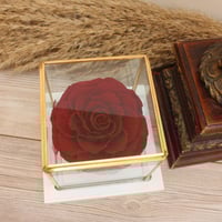 وردة دائمة مع فازة