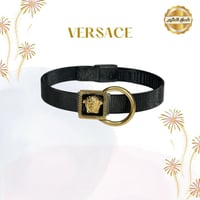 اسواره فرزاتشي