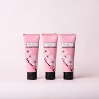 سنوايت مجموعة البروكلي ميني