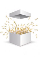 بوكس المفاجأة