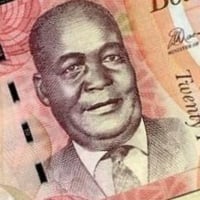 بوتسوانا فئة 20 بولا أنسر