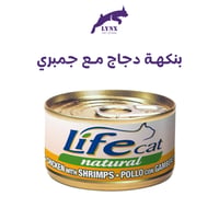دجاج وجمبري