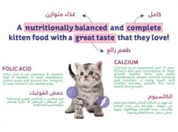 هريرة طعام جاف للقطط البالغة بنكهة الدجاج والخضار...