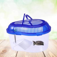 حوض سلاحف صغير