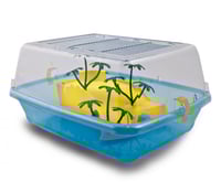 برغامو إلبا حوض سلاحف, وسط ألوان متعدده