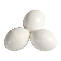 بيض بلاستيكي للببغاوات STA