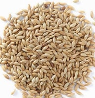 بذور كناري ( الفلارس ) Canary Seed