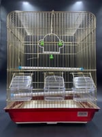 قفص طيور ذهبي 3 معلف