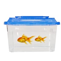 حوض بلاستيك للاسماك والزواحف