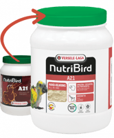 سيريلاك الغر A 21