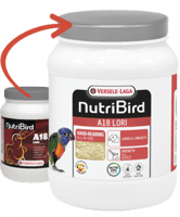 سيريلاك الغر A18