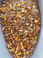 خلطة مشكلة لطيور الحمام والطيور البرية والدواجن