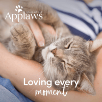 ابلاوز طعام جاف للقطط البالغة - دجاج مع سالمون 7.5...