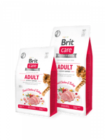 بريت طعام جاف خال من الحبوب للقطط البالغة