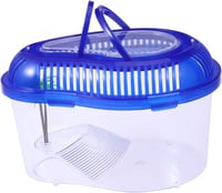 حوض سلاحف صغير