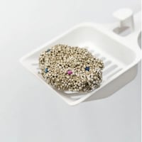 رمل للقطط بيست كلين بروائح متعددة 10لتر