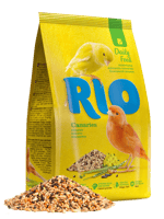 ريو تغذية يومية لطيور الكناري