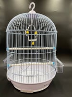 قفص طيور معدني دائري أسود ، ابيض