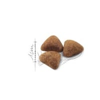 رويال كانين طعام جاف للقطط indoor