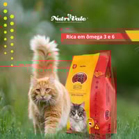 Raca Cat Select راكا طعام للقطط البالغة بريميوم با...