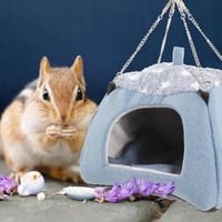 بيت صغير للحيوانات الأليفة