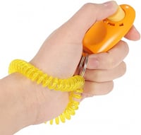 كليكر تدريب ببغاوات وحيوانات أليفة