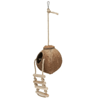 بيت عش من جوز الهند الطبيعي مع سلم الطيور