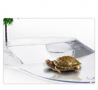 حوض سلاحف صغير