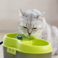 Cat H2O نافورة شرب للقطط والحيوانات الاليفة