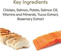 ابلاوز طعام جاف للقطط البالغة - دجاج مع سالمون 7.5...