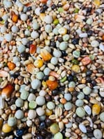 حبوب منقوع للببغاوات