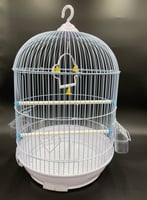 قفص طيور معدني دائري أسود ، ابيض