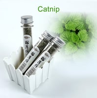 كات نيب CAT MINT 45ML