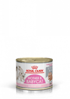 رويال كانين طعام رطب للقطط معلبات بيبي كات والأم ا...