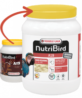 سيريلاك الغر A 19