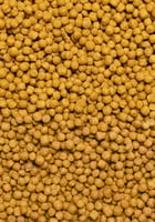 غذاء الطيور المتوسطة Mini12Kg