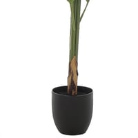 شجرة نخيل "جرين إيدج" – لمسة فخمة بطول 120 سم